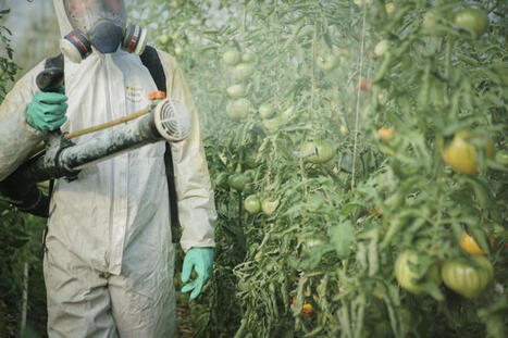 Pesticides&nbsp;: on en sait (enfin) plus sur l&rsquo;effet cocktail | Toxique, soyons vigilant ! | Scoop.it