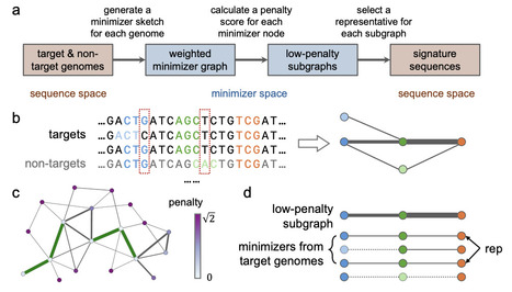 Seqwin: Ultrafast Identification of Signature Sequences in Microbial Genomes | brvbi | RMH | Scoop.it