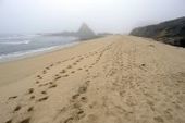 Trial begins in suit that's roiling waters over Martins Beach access | Coastal Restoration | Scoop.it