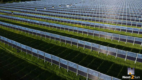 Agriculture et panneaux solaires verticaux : le mariage du siècle ? - Enerzine | Pour innover en agriculture | Scoop.it