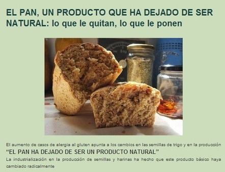 EL PAN, UN PRODUCTO QUE HA DEJADO DE SER NATURAL: lo que le quitan, lo que le ponen | PIENSA en VERDE | Scoop.it