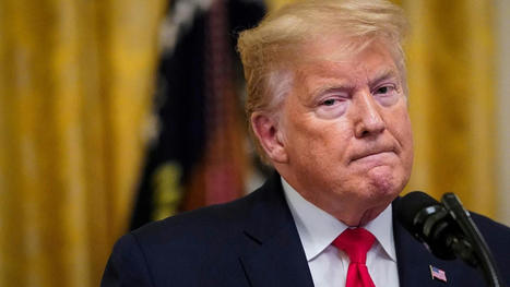 Georgia Fake Electors Could Face Criminal Charges, DA Reportedly Says - Forbes.com | Backstabber Watch | Scoop.it