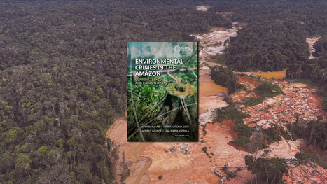 Environmental crimes in the Amazon | FATF | Scoop.it