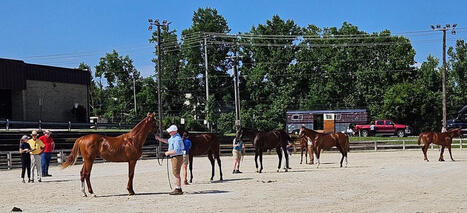 Md. horse industry plan calls for "one voice" approach * | Racing Regulatory Issues | Scoop.it
