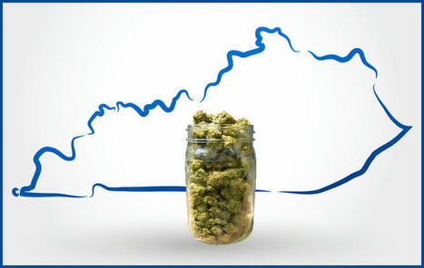 Medical Marijuana Passed in 106 out of 106 Counties and Cities in What State? A. Florida B. Kentucky C. Ohio D. North Dakota | Cannabis.Net | Scoop.it