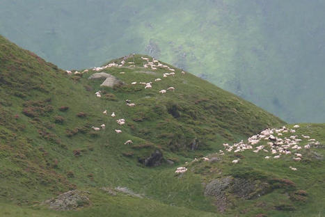 LIVRE. "Pastorales" : récit au plus près de la vie en montagne avec une ancienne éleveuse de chèvres et une bergère d'estive | Vallées d'Aure & Louron - Pyrénées | Scoop.it