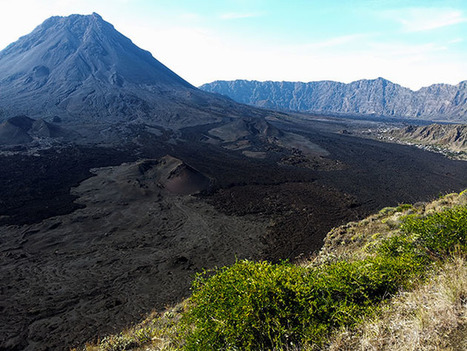 Els petrells Gongon de l&rsquo;illa de Fogo (Cap Verd) | CRP Sant Mart&iacute; | Scoop.it