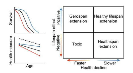 The coupling between healthspan and lifespan in Caenorhabditis depends | LongevityBluePrintRx | Scoop.it