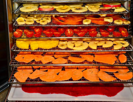 Best Fruit Dehydrators – Becoming A Staple In Modern Kitchens