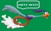 ¡MOOC MOOC! La nueva tendencia en Educación Superior | Edumorfosis.it | Scoop.it