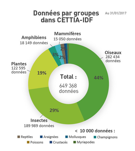 Cettia Île-de-France : retour sur une année 2016 riche en données | Biodiversité | Scoop.it
