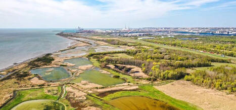 Comment va l'estuaire de la Seine ? | Veille territoriale AURH | Scoop.it