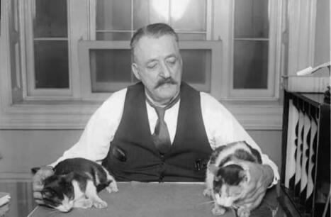 &iquest;Qui&eacute;n mat&oacute; al gato de&nbsp;Schr&ouml;dinger? | Ciencia-F&iacute;sica | Scoop.it