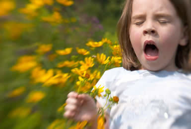 LES ALLERGIES, pourquoi, comment ? | Toxique, soyons vigilant ! | Scoop.it