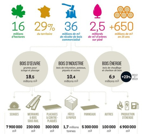 La fili&egrave;re for&ecirc;t-bois en chiffres - DRIAAF | Veille territoriale AURH | Scoop.it