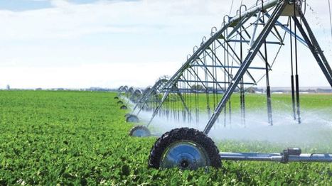 Formation et recherche en agronomie : Les universitaires réclament une stratégie claire - El Watan | Espace Méditerranéen : géopolitique, coopération... | Scoop.it