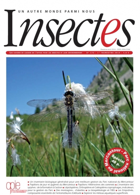 Revue Insectes - Numéro spécial Mercantour | Variétés entomologiques | Scoop.it