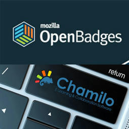 Badges numériques de compétences, que permet Chamilo LMS ? Comment booster la formation avec les openbadges ? | Veille sur les innovations en formation | Scoop.it