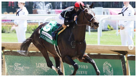 &ldquo;Most Horrific Thing I&rsquo;ve Ever Witnessed&rdquo;: NFL Coach&rsquo;s Horse Being Euthanized After Devastating Fall at Saratoga Race Leaves Dave Portnoy in Aghast Along With Equestrian World | Racing News | Scoop.it