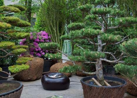 Art du jardin au grand palais. Mai-juin 2013 | HORTICULTURE | Scoop.it