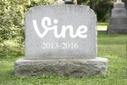 Twitter Just Shut Down Vine 4 Years After Buying It for $30 Million | Public Relations & Social Marketing Insight | Scoop.it