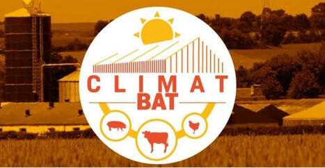 Climatbat, l’application géolocalisée gratuite pour prévenir les coups de chaleur | Actualité Bétail | Scoop.it