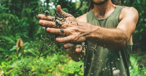 Comment retrouver des sols plus sains ? Des solutions pour la gestion durable des terres | SCIENCES DU VEGETAL | Scoop.it