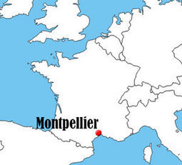Institut Moulin - Accueil | FLE | Scoop.it