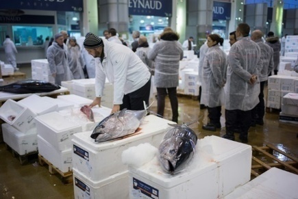 La baisse de la production de poisson issue de la pêche se poursuit | HALIEUTIQUE MER ET LITTORAL | Scoop.it