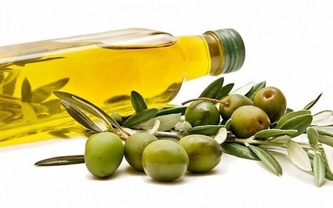 Huile d’olive marocaine : l'export en hausse, le marché américain dans le viseur | OLIVE NEWS | Scoop.it