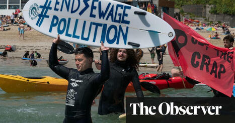Revealed: the ‘catastrophic scale’ of sewage spills in England and Wales | Water | The Guardian | Microeconomics: IB Economics | Scoop.it