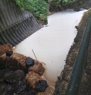 Pollution de l'Auzette entre Panazol et Limoges : « zéro survivant sur 2 km » - Limoges (87000) / 04.07.2020 | Pollution accidentelle des eaux par produits chimiques | Scoop.it