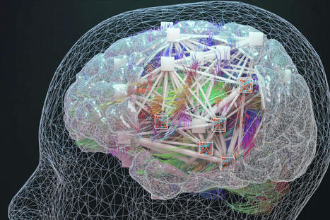 Graphène et Cerveau humain : bilan des deux programmes phares de la recherche européenne, dix ans après | Science & Transhumanisme | Scoop.it