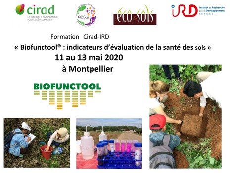 Formation Biofunctool® les 11-12-13 mai à Montpellier, emploi d'indicateurs d’évaluation de la santé des sols | MOF matière organique réactive du sol | Scoop.it