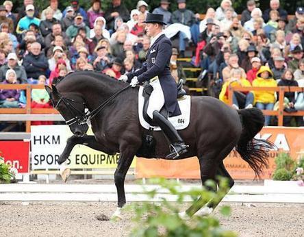 Hippo-Sport | Cheval et sport | Scoop.it