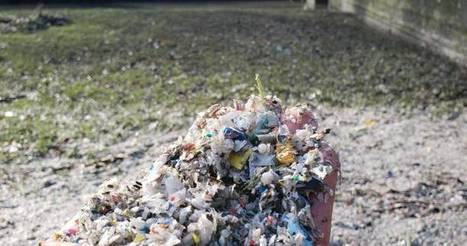 City of Delta cleaning up plastic waste on banks of waterway, says &lsquo;responsible party&rsquo; will pay - BC | Globalnews.ca / 04.02.2020 | Pollution accidentelle des eaux (+ d&eacute;chets plastiques) | Scoop.it