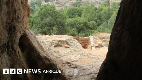 Archéologie : le crâne qui pourrait être celui du plus ancien hybride entre Homo sapiens et Néandertaliens | News from the world - nouvelles du monde | Scoop.it