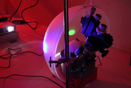 L&rsquo;abeille dans un monde virtuel&nbsp; | EntomoNews | Scoop.it