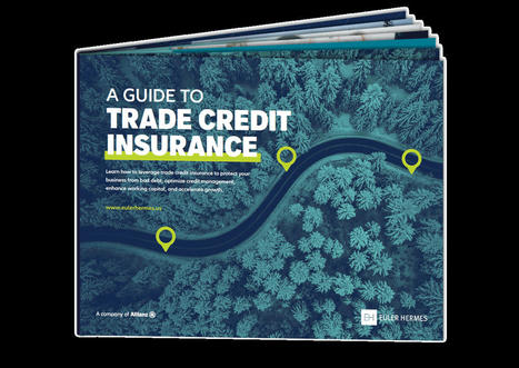 A Guide to Trade Credit Insurance (Free Download) | Ebooks & Books (PDF Free Download) | Scoop.it