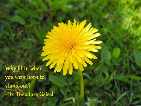 Quote by Dr. Theodore Geisel | The Muse | Scoop.it