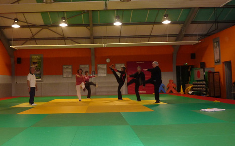 L'Association des Amis des Vallées vous propose des cours de gymnastique adaptés aux séniors | Vallées d'Aure & Louron - Pyrénées | Scoop.it