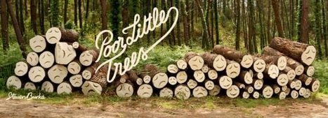 Poor little trees | 1001 Recycling Ideas ! | Scoop.it