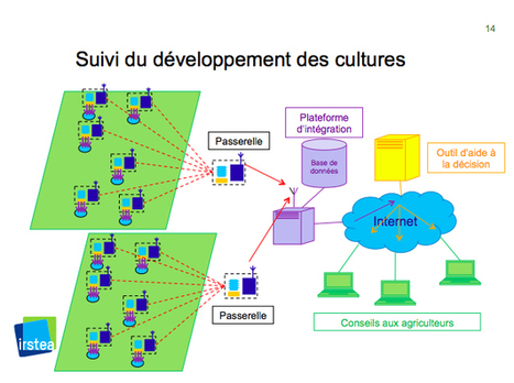 Agriculture numérique : champs et agriculteurs connectés | Elevage et numérique | Scoop.it