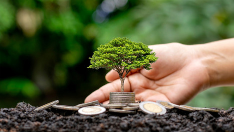 Incentivos tributarios para inversiones en sostenibilidad ambiental | Medio Ambiente | Scoop.it