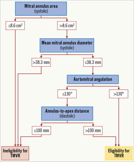 Screening for transcatheter mitral valve replacement: a decision tree algorithm | Transcatheter Treatment of Mitral Regurgitation | Scoop.it