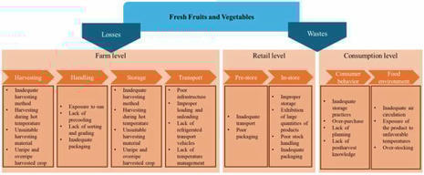 Review in Horticulturae • Duarte Sierra Lab 2024 • An Overview of Low-Cost Approaches for the Postharvest Storage of Fruits and Vegetables for Smallholders, Retailers, and Consumers | Reviews | Scoop.it