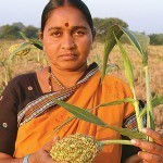 LA SCONFITTA DELLE SEMENTI ANTICHE | Orto, Giardino, Frutteto, Piante Innovative e Antiche Varietà | Scoop.it