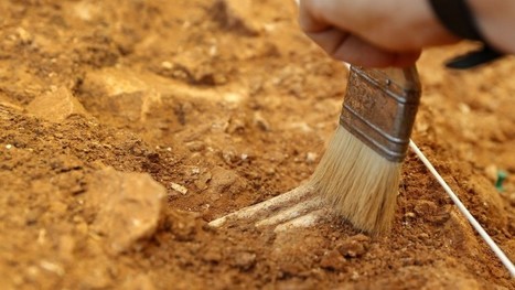A descoberta que pode obrigar a mudar todos os livros de hist&oacute;ria | History 2[+or less 3].0 | Scoop.it