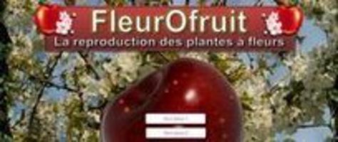 fleurofruit gratuit