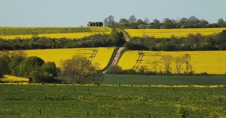 Revendiquer la place de l'agro-biodiversité dans le débat sur la conservation et l'alimentation | Paysage - Agriculture | Scoop.it